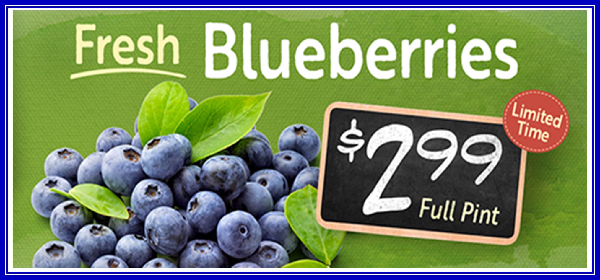 Blueberries 299.jpg