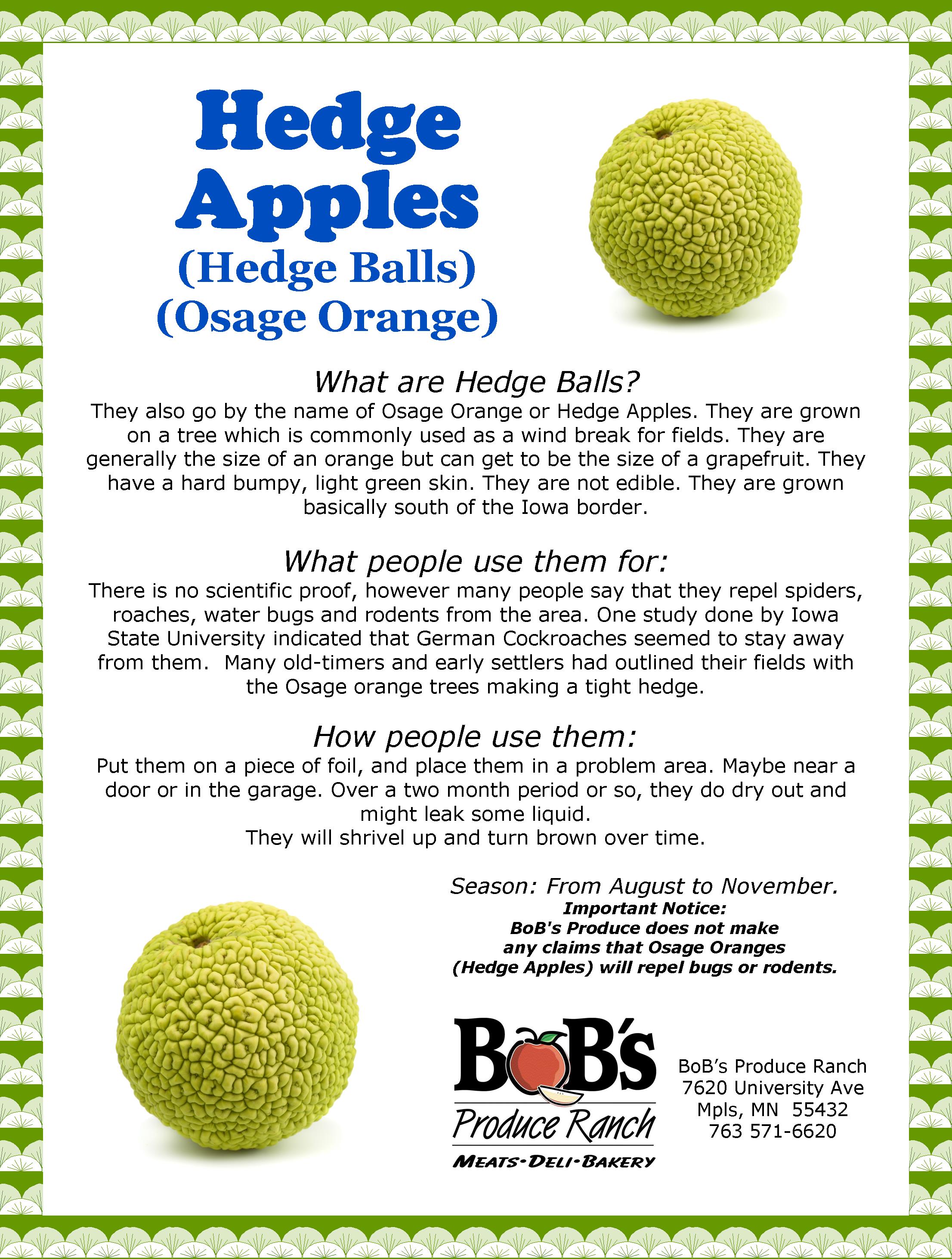 hedge apple uses