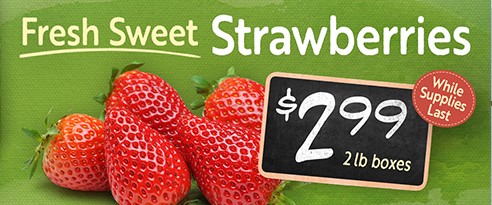 Strawberries 299.jpg