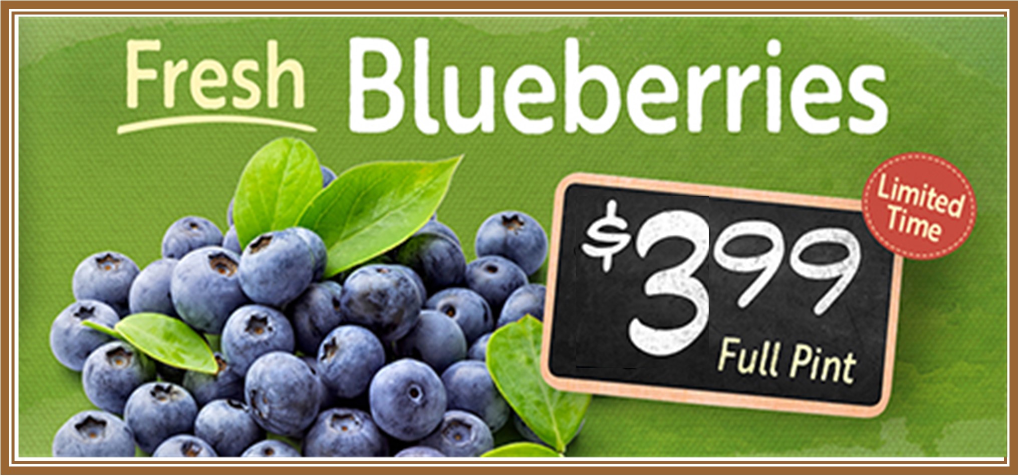 Blueberries 399.jpg