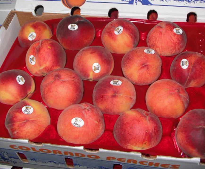 Colorado-Peaches.jpg