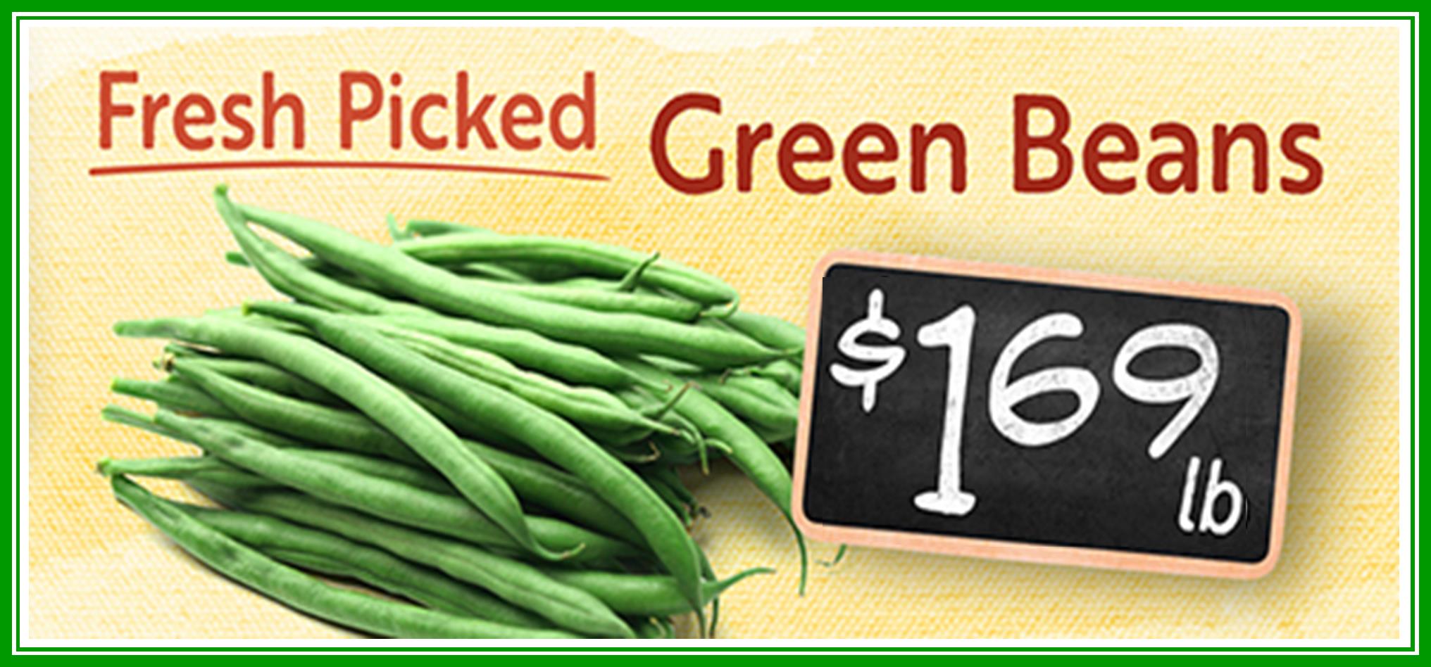 Green Beans 169.jpg