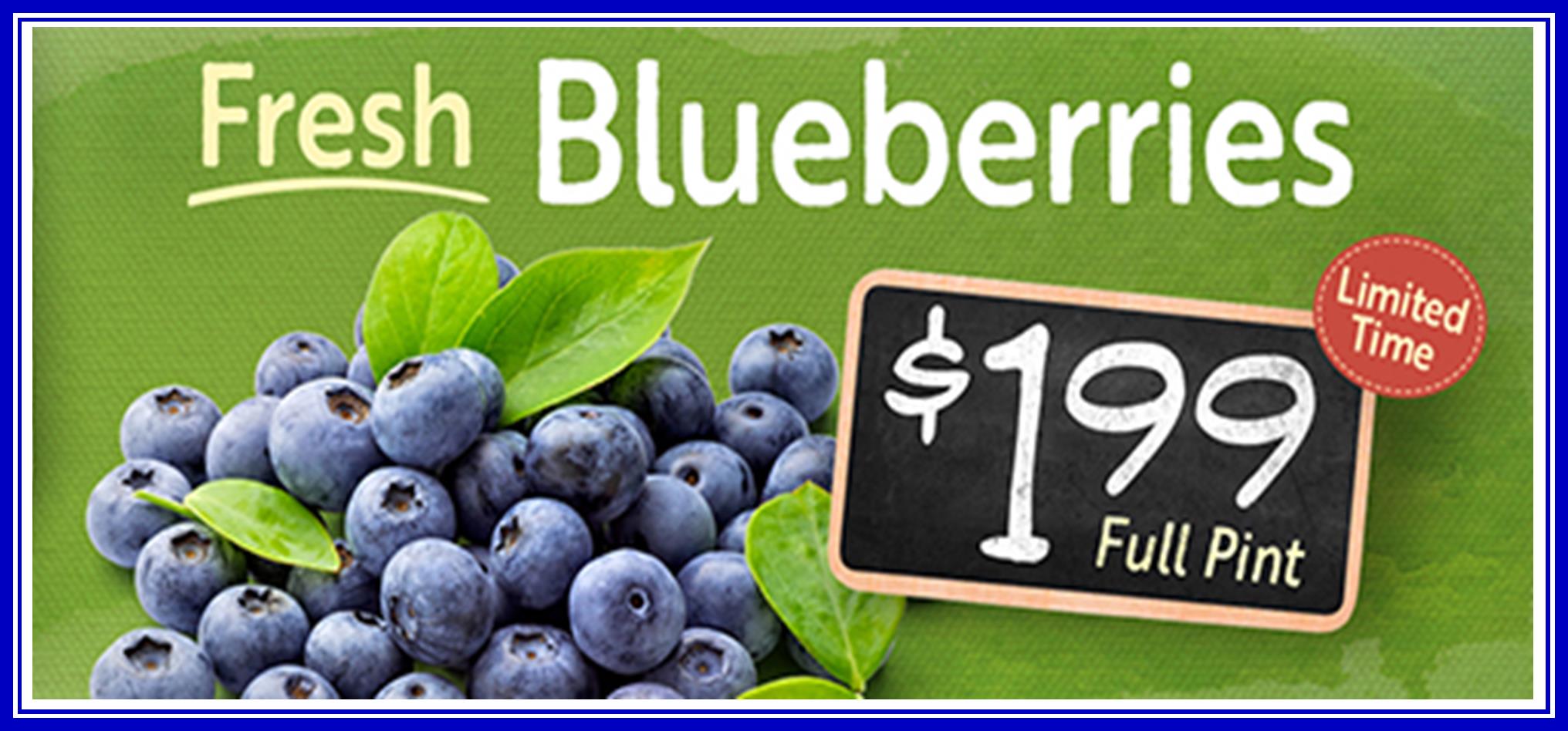 Blueberries 199.jpg