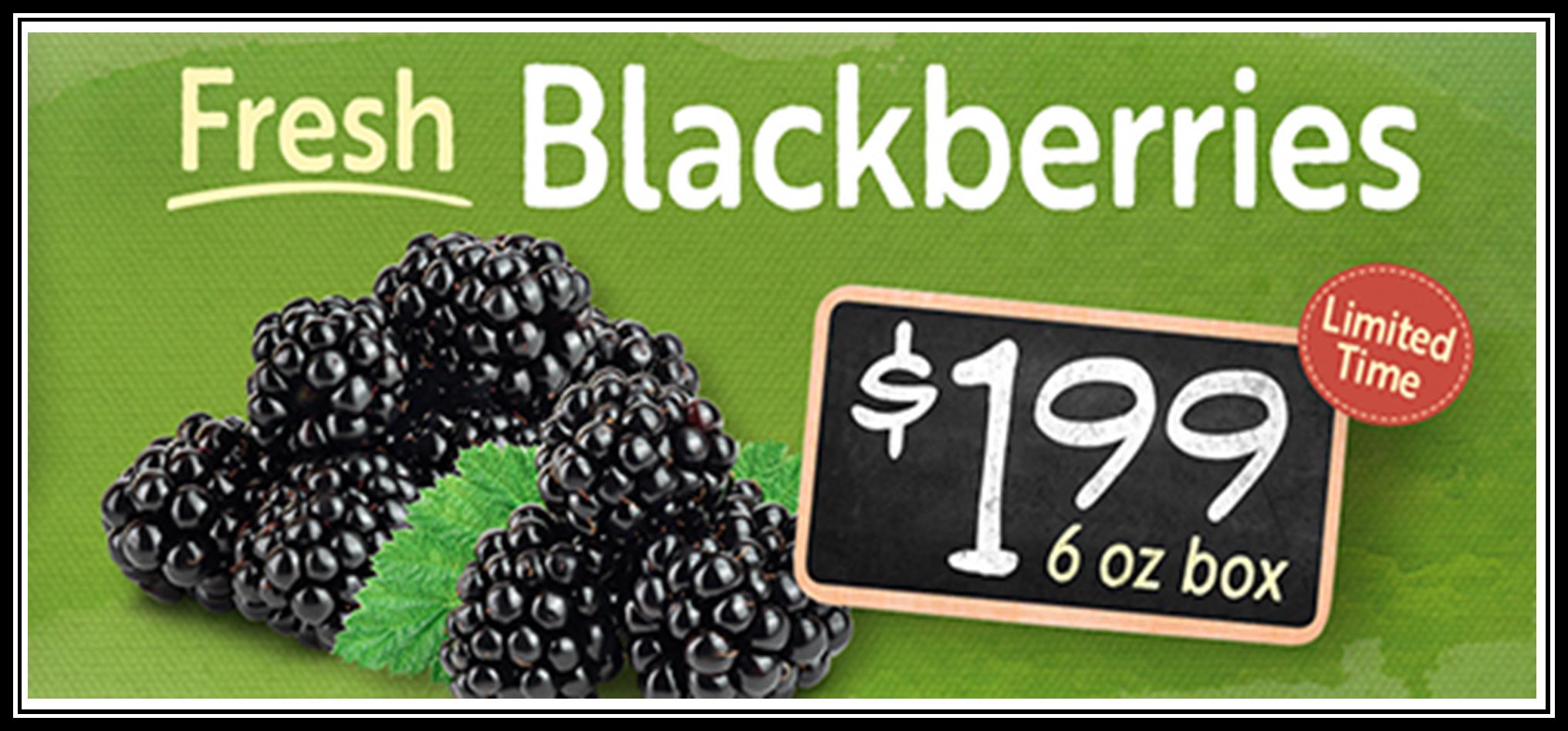 Blackberries 199.jpg