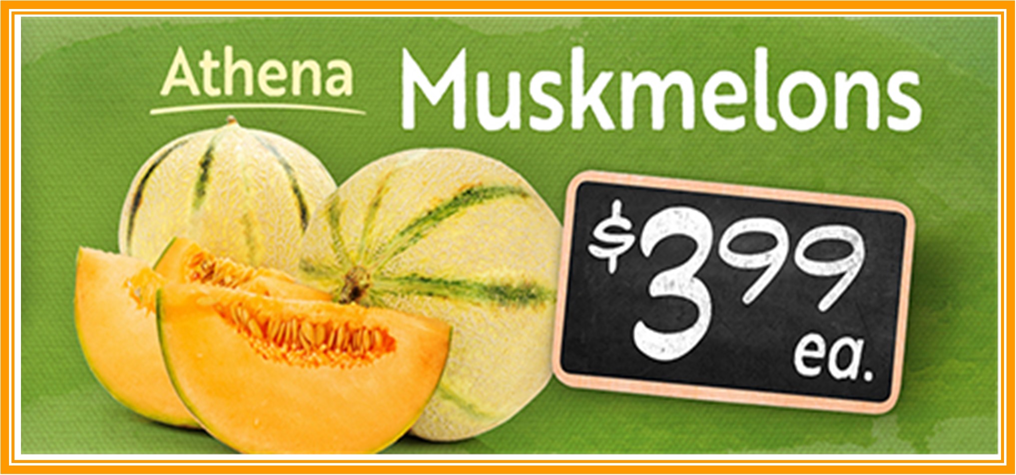 Muskmelon Athena 399.jpg