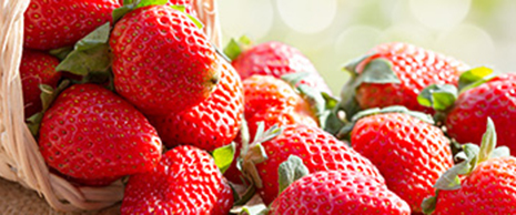 strawberries-219114730-2.jpg