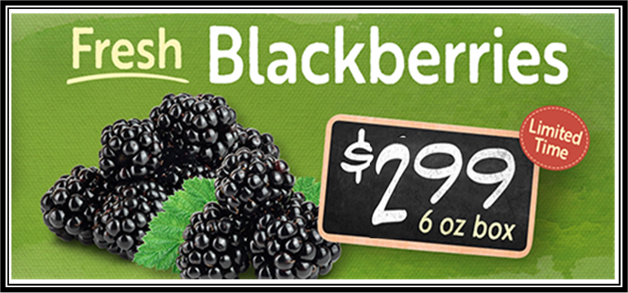 Blackberries 299.jpg