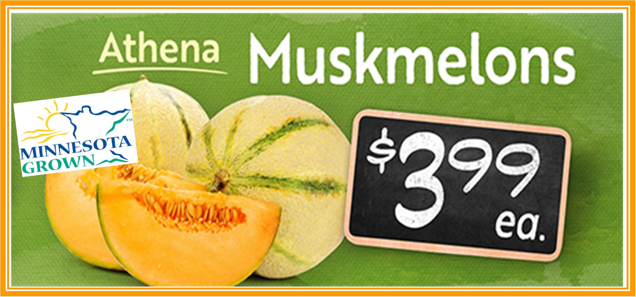 Muskmelon Athena HG 399.jpg